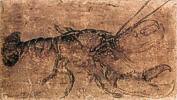 Lobster Hummer,1495