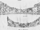 1517 Entwurf für zwei Teile der Prunkrüstung eines Pferdes (Feder 338K)