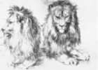 ca 1521 Zwei liegende Löwen (Silberstift 400K)